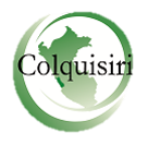 logo_colquisiri